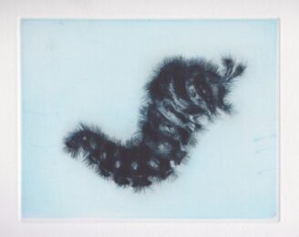 Caterpillar by Tomoko Konoike at KIDO Press