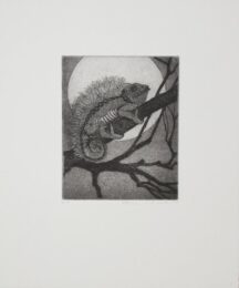 Chameleon by Karin Schaub at Sylvan Cole Gallery