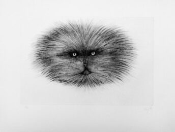 Chat Gris by Régis d'Ho at Sylvan Cole Gallery