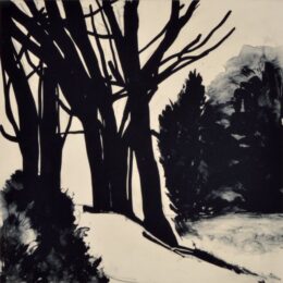 Cold Spring I by Deborah Freedman at Oehme Graphics
