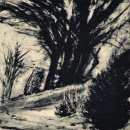 Cold Spring Ii by Deborah Freedman at Oehme Graphics
