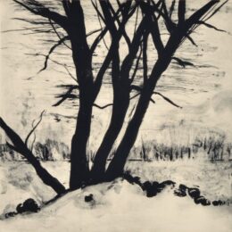 Cold Spring Iii by Deborah Freedman at Oehme Graphics