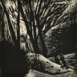 Cold Spring Iv by Deborah Freedman at Oehme Graphics