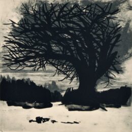 Cold Spring V by Deborah Freedman at Oehme Graphics