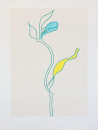 Dandelion by Lucie Bennett at Eyestorm