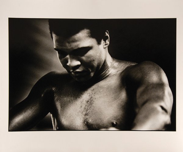 Portrait III by David King