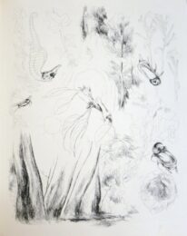 De La Nature (de Rerum Natura) by Léopold Lévy at Sylvan Cole Gallery