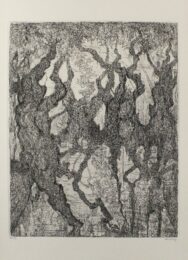 Die Platanen Des Pelion by Paul Eliasberg at Sylvan Cole Gallery