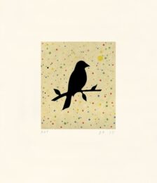 Doty’s Robin by Dan Rizzie at Tandem Press (IFPDA)