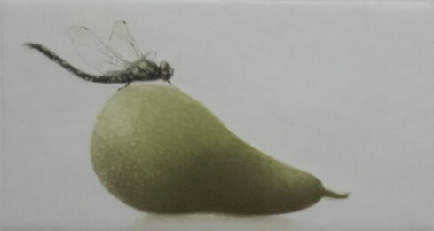 Dragonfly by Mikio Watanabe at ebo Gallery