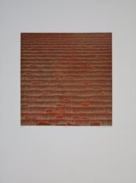 Dürre by Verena Vernunft at Sylvan Cole Gallery