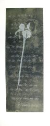 El Lenguaje De Las Flores I by Guillermo Conte at Sylvan Cole Gallery