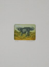 Elefanten by Reimund Franke at Sylvan Cole Gallery
