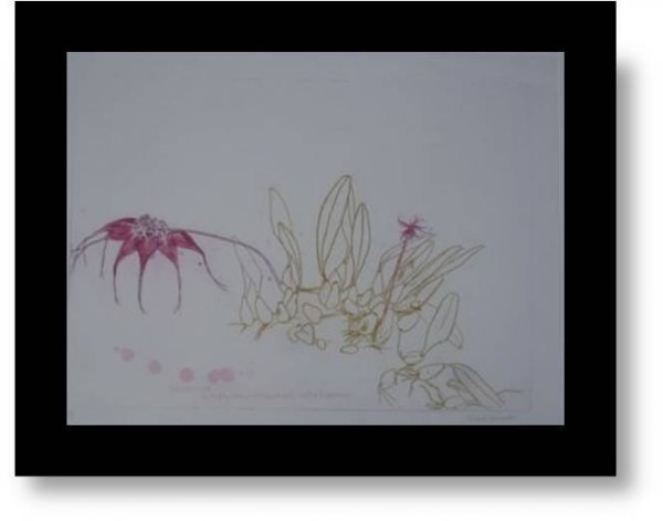 Orchidaceae-bulbophyllum Rothschildianum by Elizabeth Blackadder