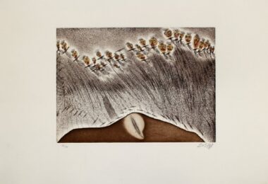 Emeros by Zush / Evru at Sylvan Cole Gallery