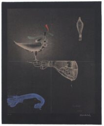 Falkenhandschuh / Falconer’s Glove by Paul Wunderlich at Sylvan Cole Gallery