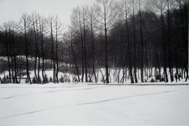 February by Rica Bando at ebo Gallery
