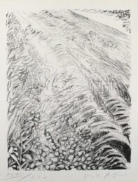 Field by Pericle Fazzini at Sylvan Cole Gallery