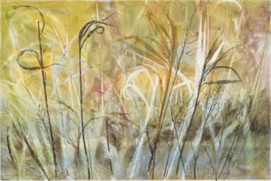 Field’s Edge 11 by Paula Zinsmeister at Oehme Graphics