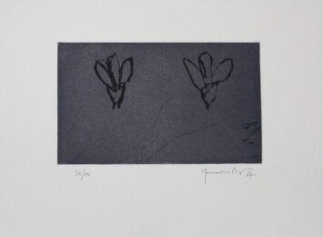 Flors Sobre Gris / Flowers On Gray by Joan Hernandez Pijuan at Sylvan Cole Gallery