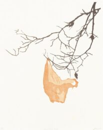 Flying Bag by Claas Gutsche at Aspinwall Editions