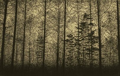 Forest (gampi) by Tokuro Sakamoto at KIDO Press