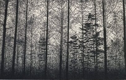 Forest (gray) by Tokuro Sakamoto at KIDO Press