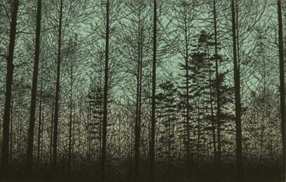 Forest (green) by Tokuro Sakamoto at KIDO Press