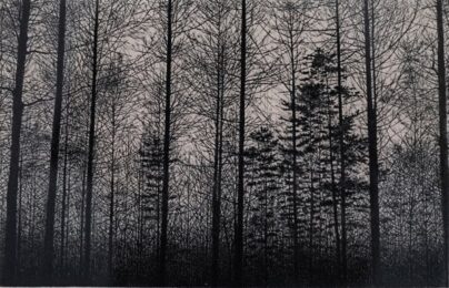 Forest (pink) by Tokuro Sakamoto at KIDO Press