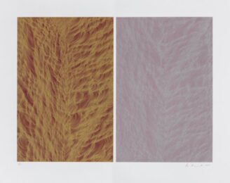 Fortuny I by Ann Aspinwall at Aspinwall Editions
