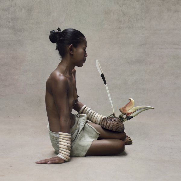 Young Woman With Hornbill Headdress, New Guinea by Fred Stichnoth
