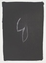 Fulles I by Joan Hernandez Pijuan at Sylvan Cole Gallery