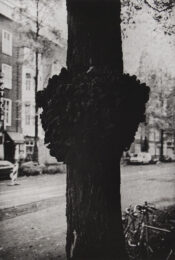 Gall by Philip Van Keuren at Manneken Press (IFPDA)