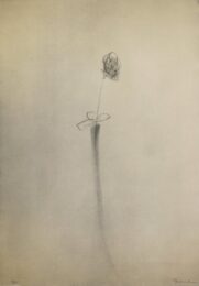 Gerro I Flor / Vase And Flower by Joan Hernandez Pijuan at Sylvan Cole Gallery