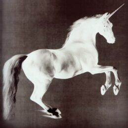 Ghost by Mark Wallinger at Lieberman Contemporary