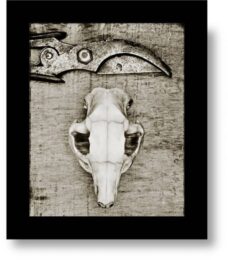 Graveyard Of Infinity by John Claridge at Pomegranate Fine Art