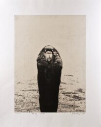 Habitat by Shin Taga at Editions Graphiques Ltd