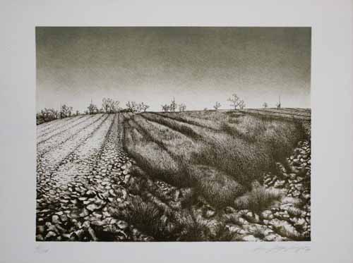 Landschaft by Hans-Jürgen Siegert