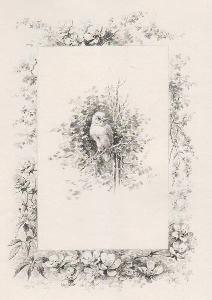 Histoire D’un Merle Blanc. Compositions De Hector Giacomelli Gravées à L’eau-forte Par L... by Hector Giacomelli