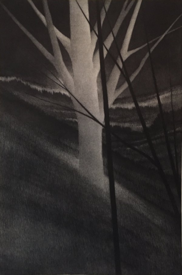 Hillside W/ Pale Tree by Robert Kipniss