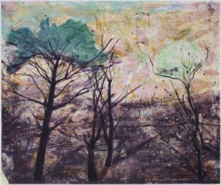 Hinter by Elizabeth Magill at Manifold Editions