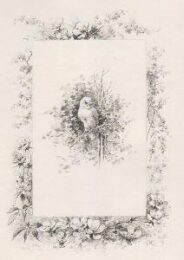 Histoire D’un Merle Blanc. Compositions De Hector Giacomelli Gravées à L’eau-forte Par L... by Hector Giacomelli at Sylvan Cole Gallery
