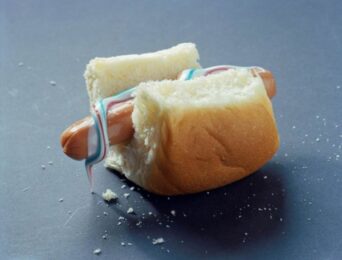 Hot Dog by Torbjorn Rodland at Serpentine Gallery