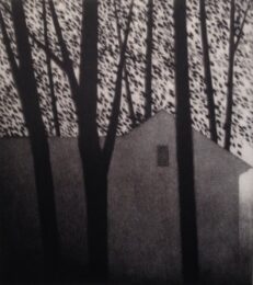 House & Leaves by Robert Kipniss at ebo Gallery
