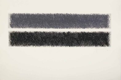 Hp 10 by Joan Hernandez Pijuan at Sylvan Cole Gallery