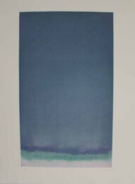 Hp 17 by Joan Hernandez Pijuan at Sylvan Cole Gallery
