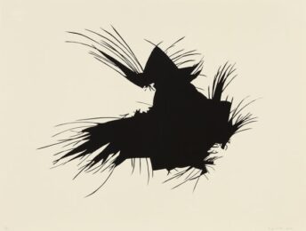 Il Gallo In Michoacán, Mexico by Morgan O'Hara at Aspinwall Editions