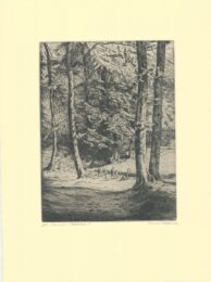 Im Wald by Hermann Kätelhön at Sylvan Cole Gallery