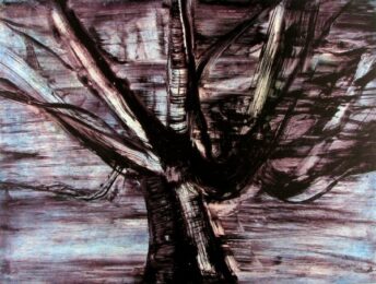 Imagined Possibilities I by Deborah Freedman at Oehme Graphics