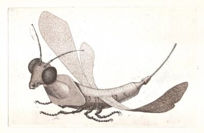 Incongruités.  Recueil De Gravures Inventés… by Claude Gondard at Sylvan Cole Gallery